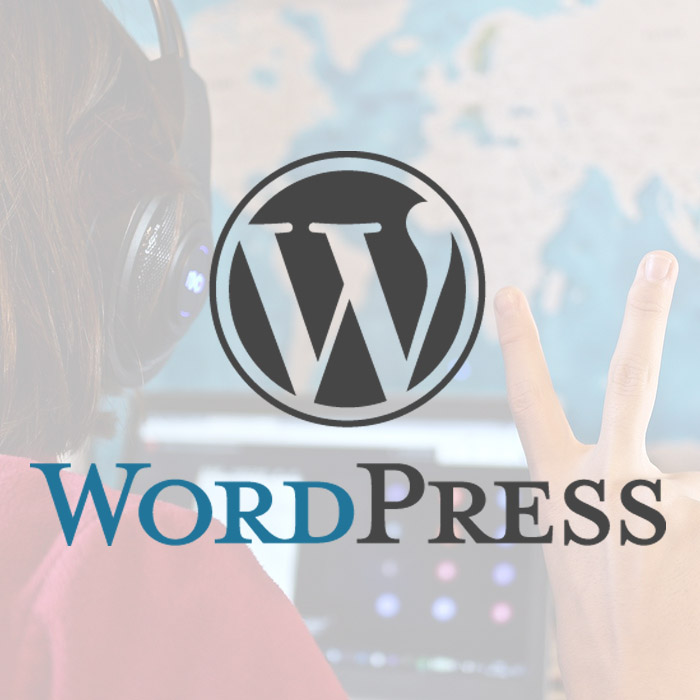 Własna strona www – Szkolenie online – WordPress